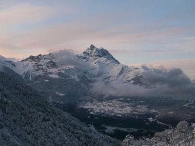 Baran's Lab & Capstone Project Support